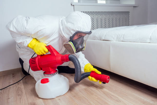 Real Estate Pest Inspections in Plantation, FL